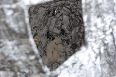 m06