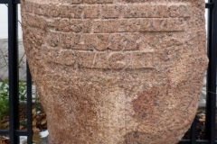mu01