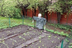 IMG_20170427_114901683