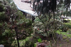 IMG_20170427_114920862