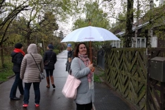 IMG_20170427_115154506