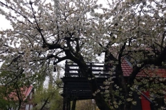 IMG_20170427_115543115