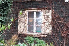 IMG_20170427_115839294_HDR