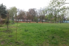 IMG_20170427_115922211