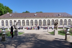 Stara Oranżeria
