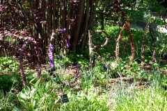 Ogród Botaniczny