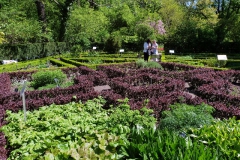 Ogród Botaniczny
