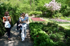 Ogród Botaniczny