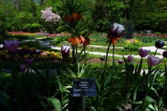 Ogród Botaniczny