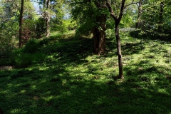 Ogród Botaniczny