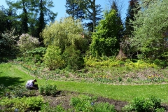 Ogród Botaniczny