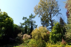 Ogród Botaniczny