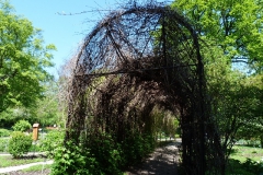 Ogród Botaniczny