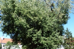 m012