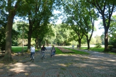park