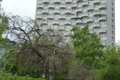 m06